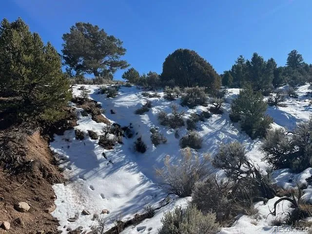 a view of a city with lush green forest