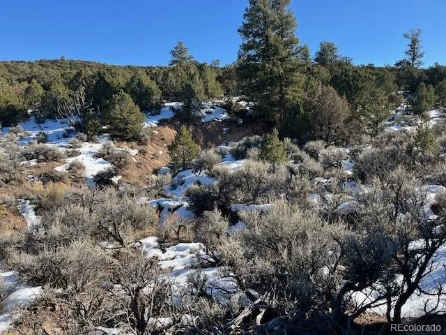 a view of a dry top with trees