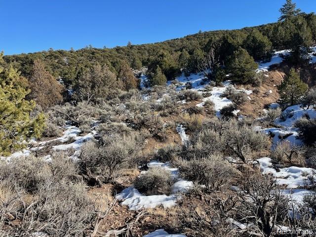 Lot 7860 Platten Road Fort Garland, CO 81133 - Photo 27 of 27 a view of a dry top with trees