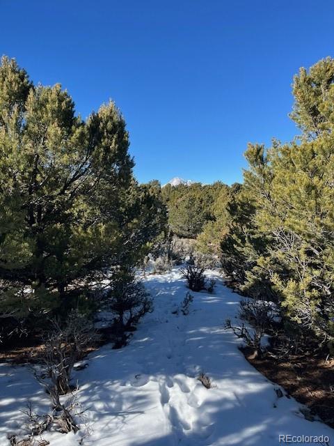 Lot 7860 Platten Road Fort Garland, CO 81133 - Photo 8 of 27 a view of a yard with a tree