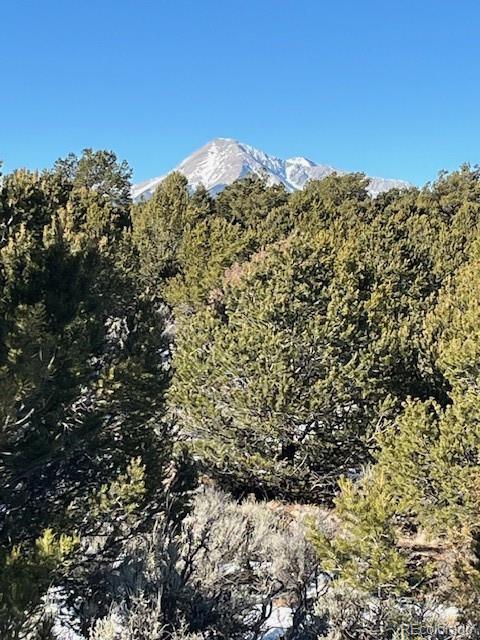 Lot 7860 Platten Road Fort Garland, CO 81133 - Photo 9 of 27 a view of a large tree