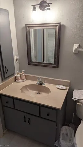 a bathroom with a sink a toilet and mirror