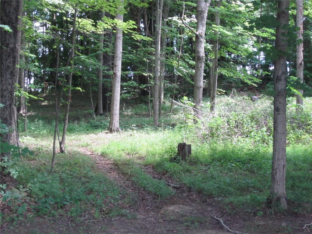 4199 Teeters Road Martinsville, IN 46151 - Photo 11 of 27 Gallery Image 11