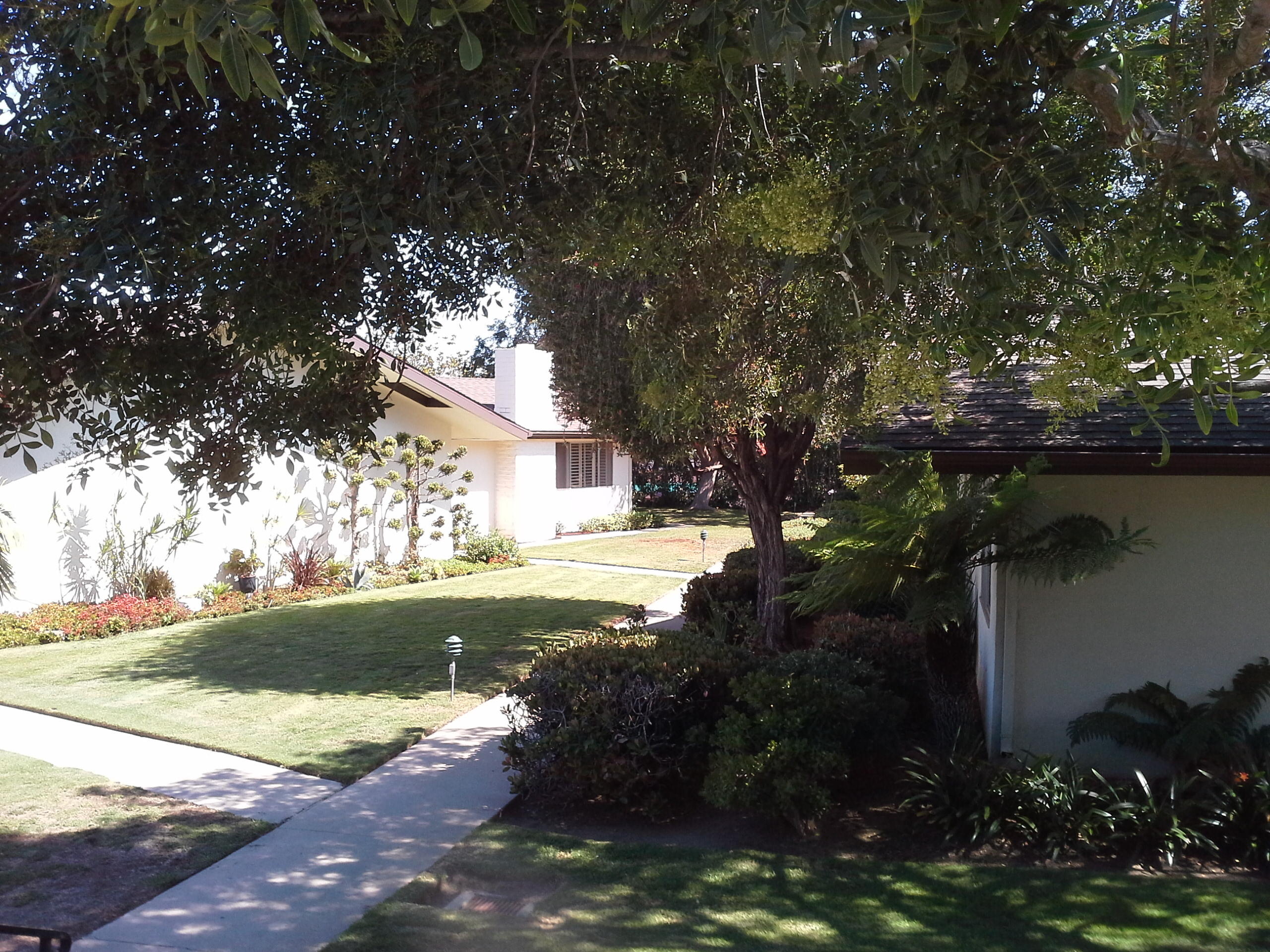 817 Cieneguitas Road Santa Barbara, CA 93110 - Photo 12 of 12 a view of a house with a yard and tree s