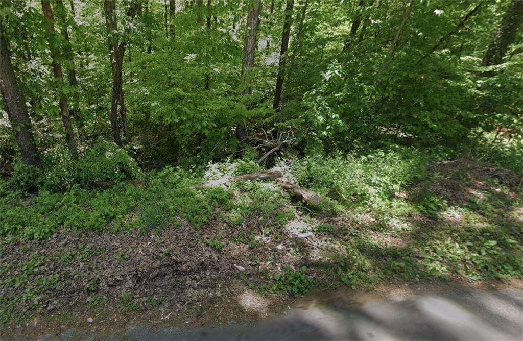 0 Sawnee Terrace Gainesville, GA 30506 - Photo 2 of 2