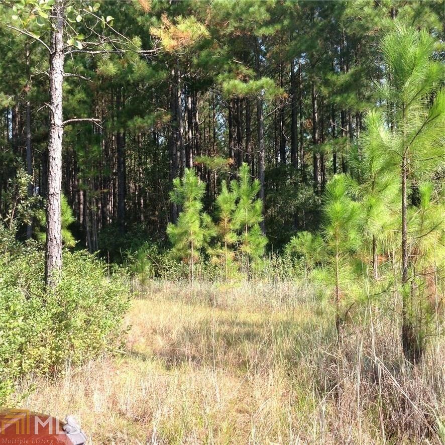 0 Clyde Road Springfield, GA 31329 - Photo 1 of 1