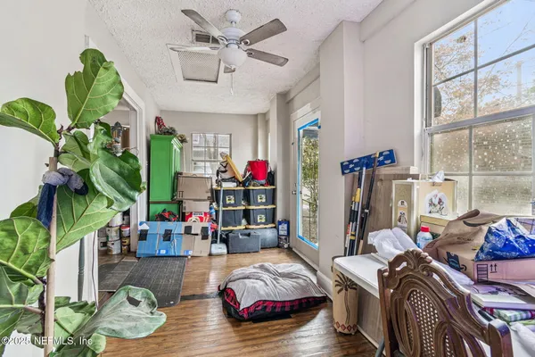 a living room with furniture flowerpot and a window
