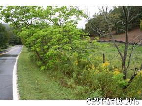 179 Curtis Parker Road Alexander, NC 28701 - Photo 3 of 3 Gallery Image 3