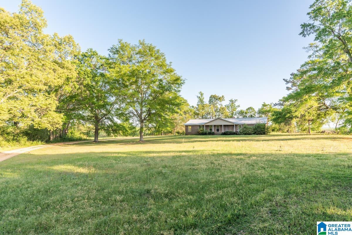 1820 County Road 3 Reform, AL 35481 - Photo 1 of 8