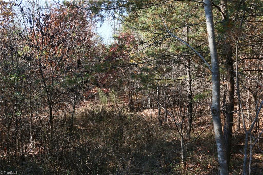 0 Steele Road, Unit 6 Sandy Ridge, NC 27046 - Photo 4 of 17