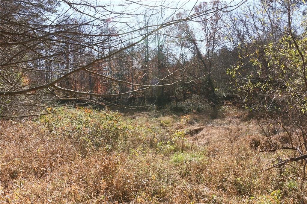 0 Steele Road, Unit 6 Sandy Ridge, NC 27046 - Photo 10 of 17