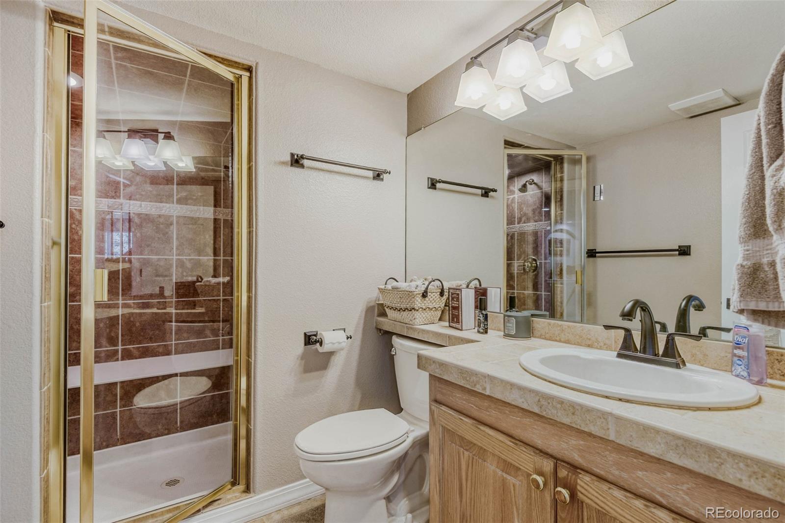 7923 Witney Place Lone Tree, CO 80124 - Photo 39 of 50