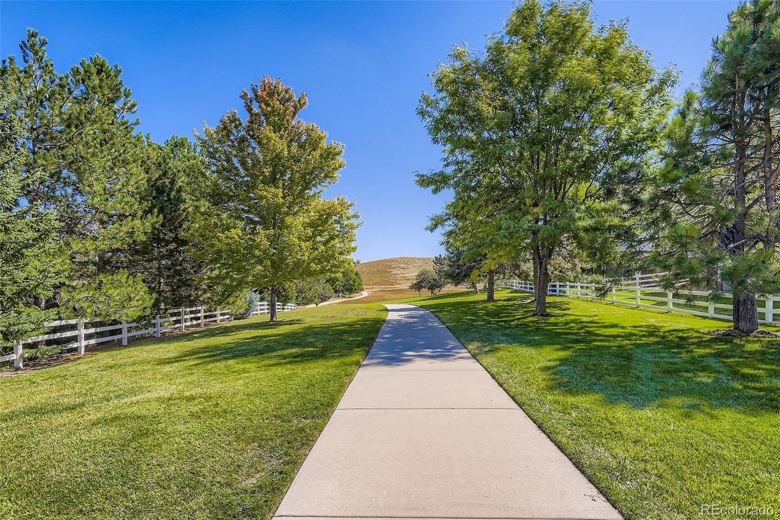 7923 Witney Place Lone Tree, CO 80124 - Photo 45 of 50