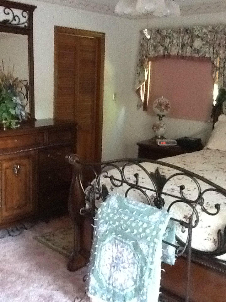 181 Round Hill Road Rocky Mount, VA 24151 - Photo 19 of 53 11 Master Bedroom