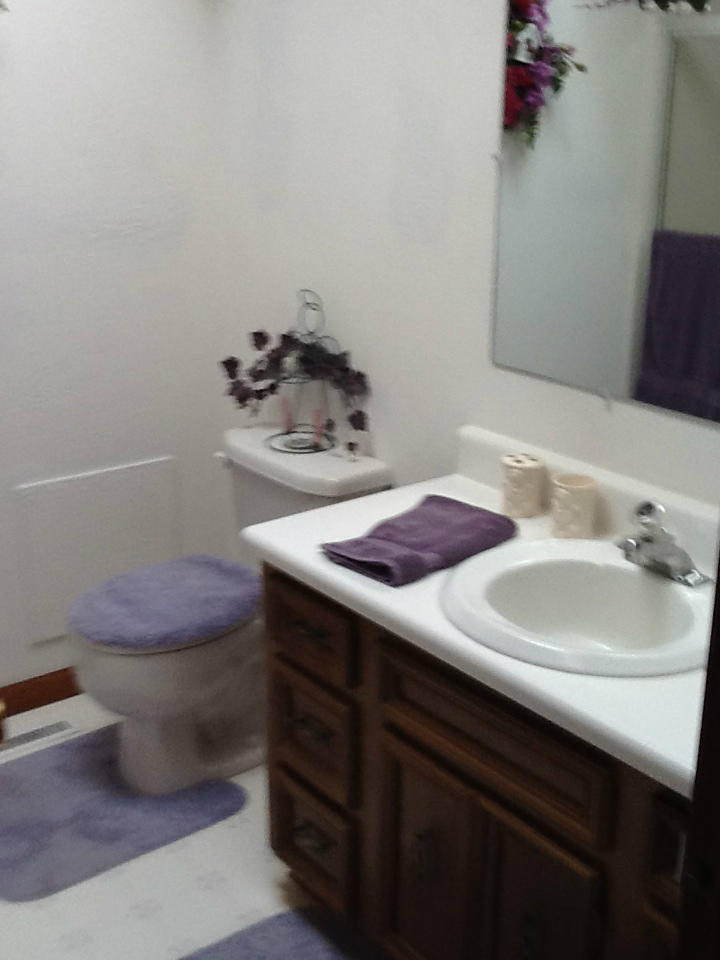 181 Round Hill Road Rocky Mount, VA 24151 - Photo 22 of 53 14 Master Bathroom