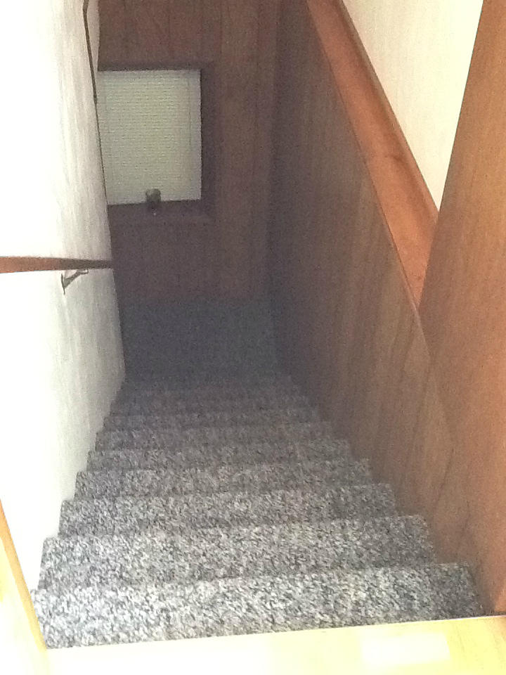 181 Round Hill Road Rocky Mount, VA 24151 - Photo 32 of 53 24 Stairs to LL