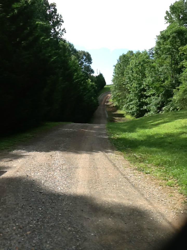 181 Round Hill Road Rocky Mount, VA 24151 - Photo 51 of 53 43 Driveway