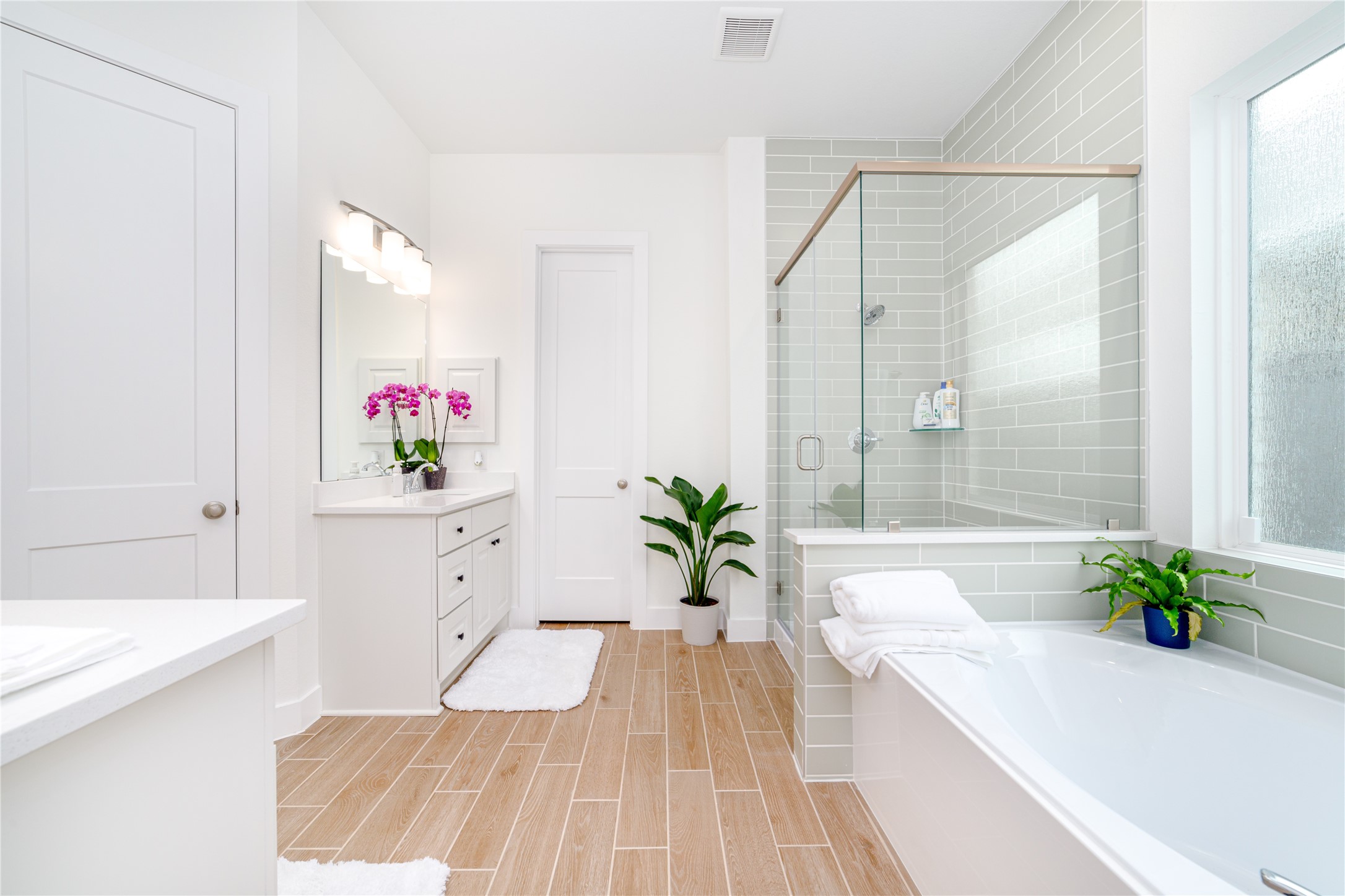a room with wooden floor and potted plant