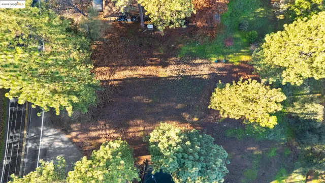 a view of a yard with flowers