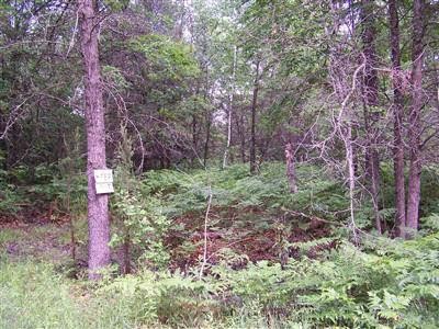 0 Black Road Prescott, MI 48756 - Photo 2 of 3 20304423-1.JPG