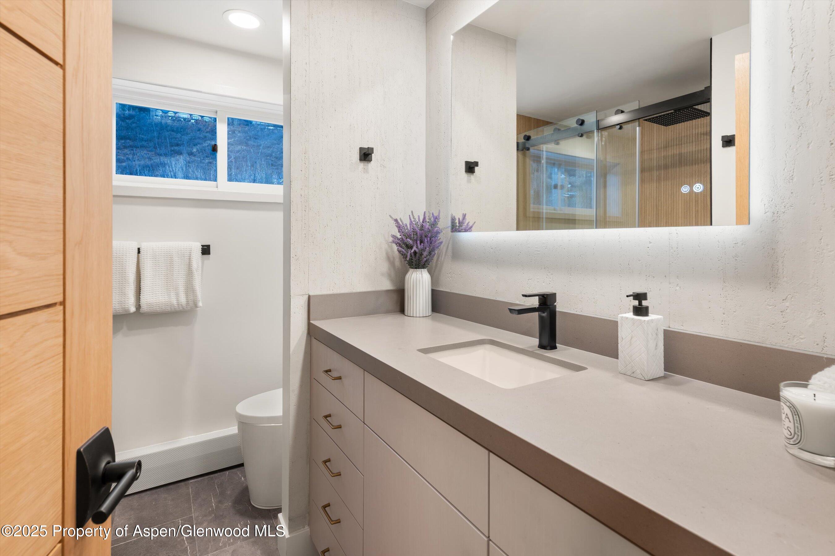 75 Bennett Court Aspen, CO 81611 - Photo 34 of 65 a bathroom with a granite countertop sink a toilet and a mirror