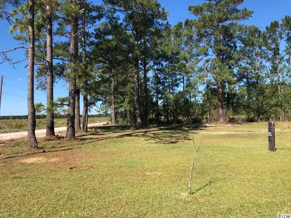828 West G Road Conway, SC 29526 - Photo 8 of 18 Gallery Image 8