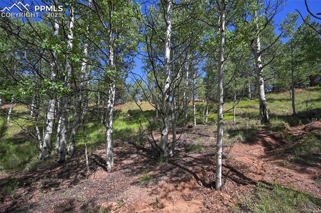 412 Princess Road Cripple Creek, CO 80813 - Photo 36 of 45 Gallery Image 36
