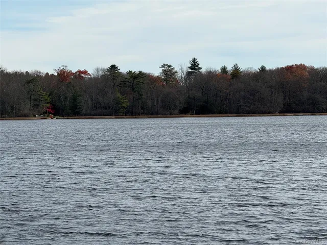 a view of a dry yard