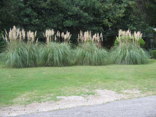 2625 Poole Road Raleigh, NC 27610 - Photo 2 of 7