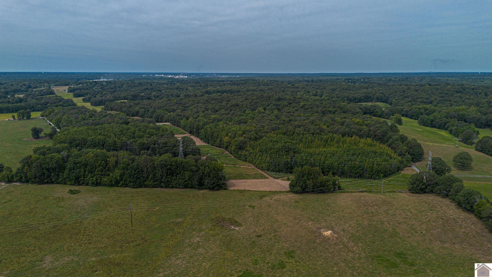 0 Corinth Church Road Grand Rivers, KY 42045 - Photo 14 of 49 Photo 14