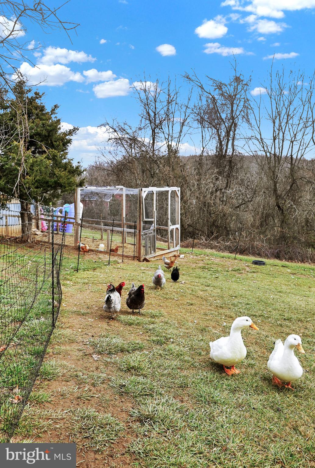 4792 Zeiglers Church Road Spring Grove, PA 17362 - Photo 33 of 41