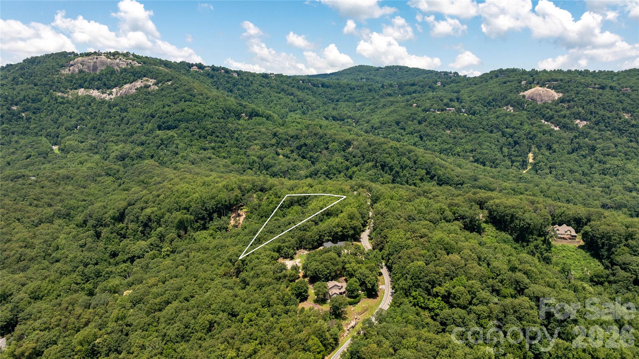 Lot 22 Plumley Summit Road, Unit 22 Landrum, SC 29356 - Photo 11 of 27
