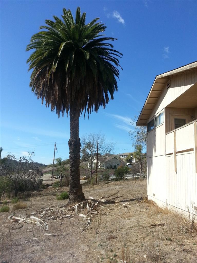 1360 Bramble Road Arroyo Grande, CA 93420 - Photo 2 of 39 Gallery Image 2