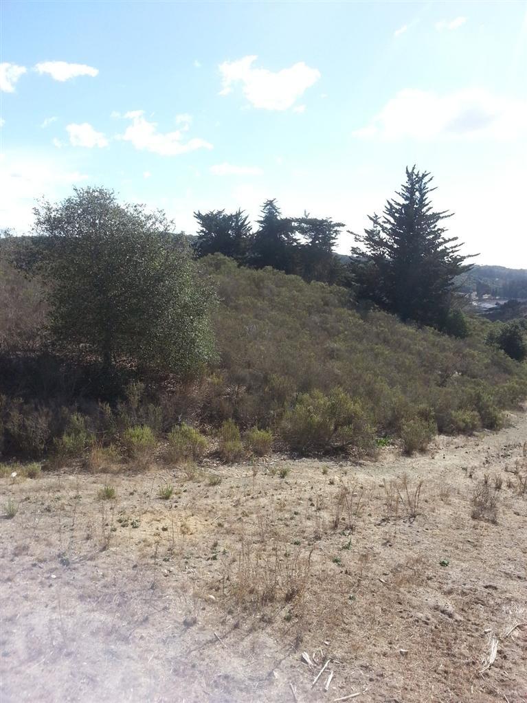 1360 Bramble Road Arroyo Grande, CA 93420 - Photo 11 of 39 Gallery Image 11