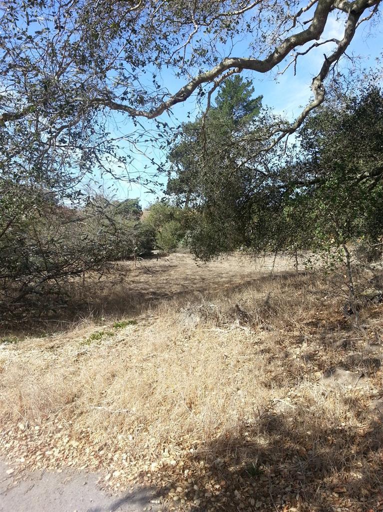 1360 Bramble Road Arroyo Grande, CA 93420 - Photo 17 of 39 Gallery Image 17