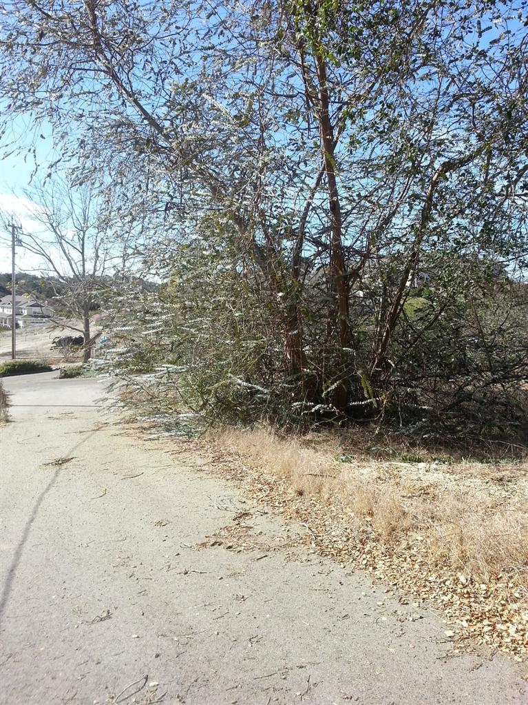 1360 Bramble Road Arroyo Grande, CA 93420 - Photo 18 of 39 Gallery Image 18