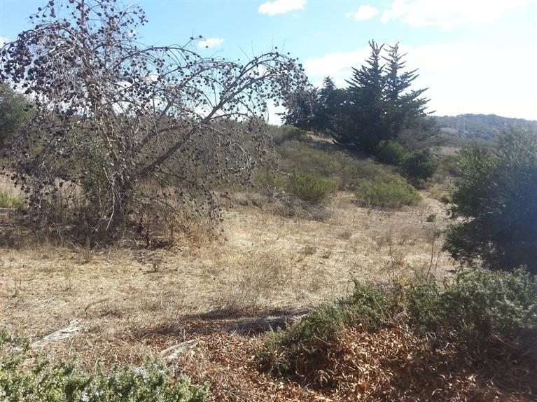 1360 Bramble Road Arroyo Grande, CA 93420 - Photo 26 of 39 Gallery Image 26