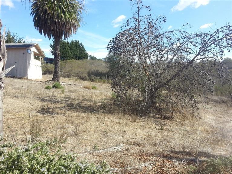 1360 Bramble Road Arroyo Grande, CA 93420 - Photo 27 of 39 Gallery Image 27