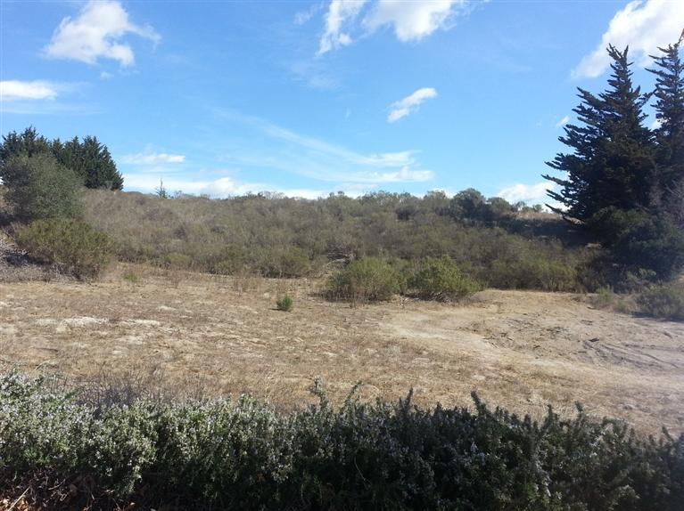 1360 Bramble Road Arroyo Grande, CA 93420 - Photo 29 of 39 Gallery Image 29