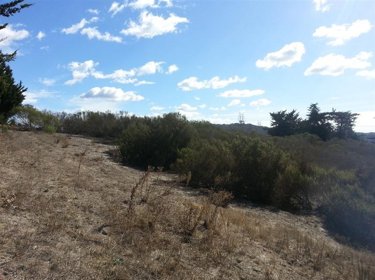 1360 Bramble Road Arroyo Grande, CA 93420 - Photo 35 of 39 Gallery Image 35