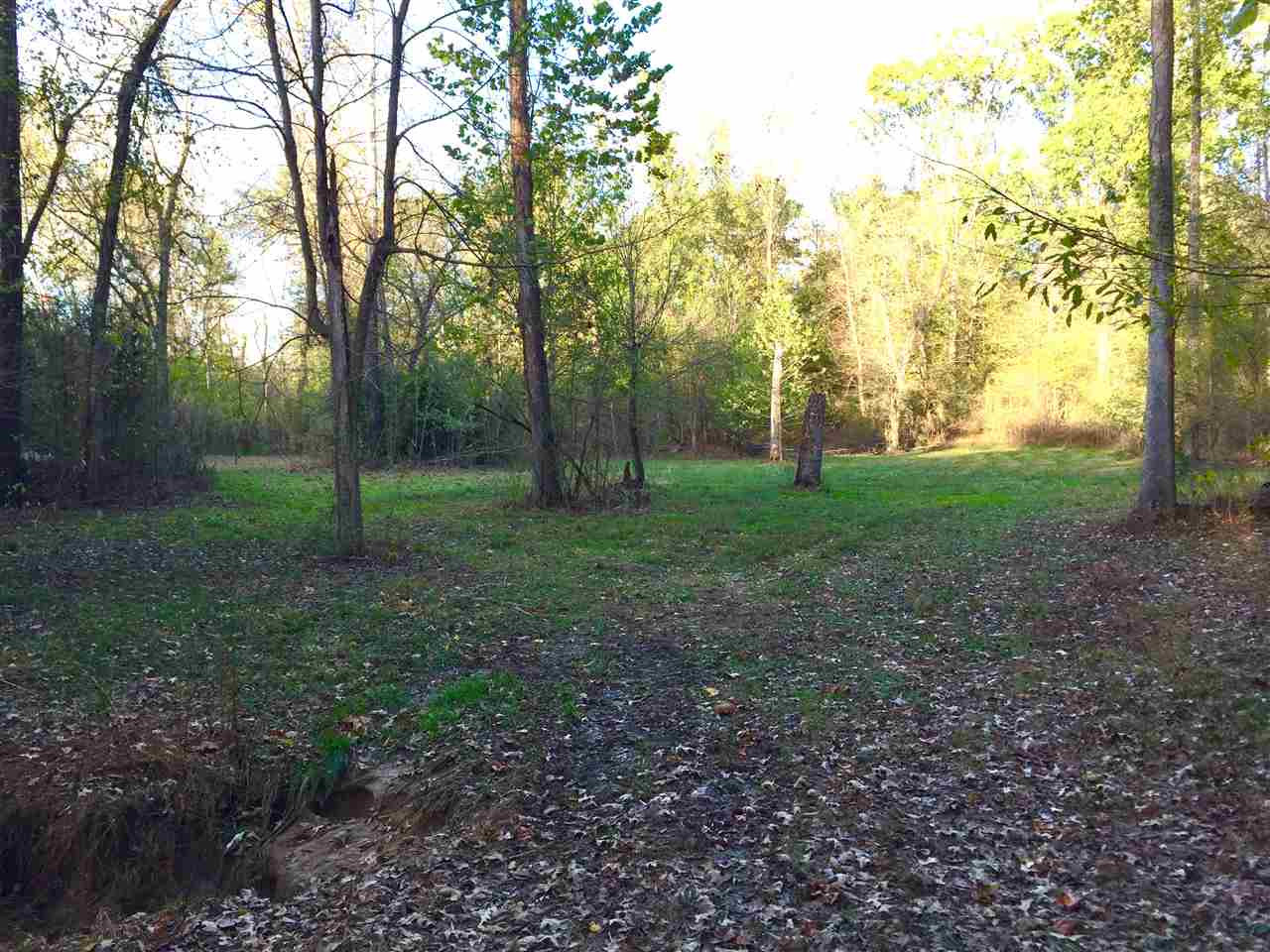 Judkins Rd Judkins Road Yazoo City, MS 39194 - Photo 1 of 3 Photo 1