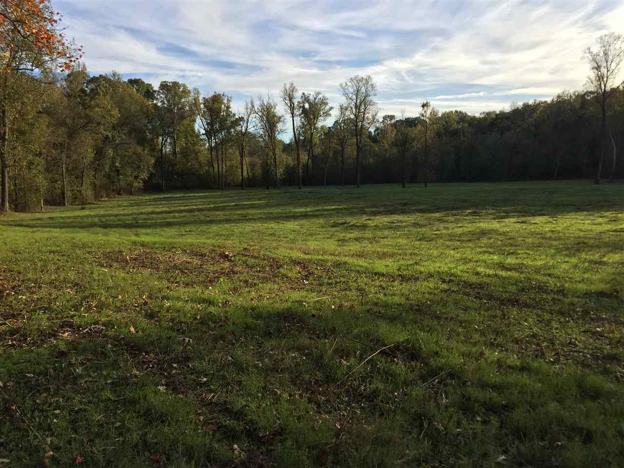 Judkins Rd Judkins Road Yazoo City, MS 39194 - Photo 3 of 3 Photo 3