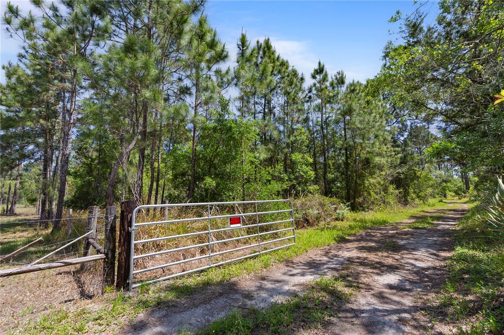 9121 Florida Boys Ranch Road Clermont, FL 34711 - Photo 5 of 25 Gallery Image 5