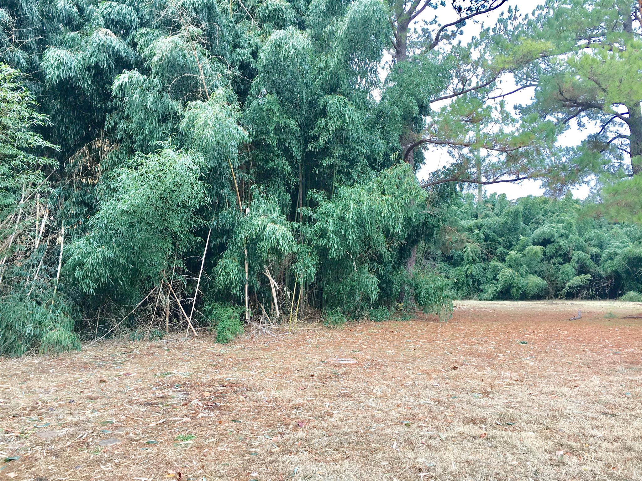 2409 Sulphur Springs Road Murfreesboro, TN 37129 - Photo 13 of 13 Gallery Image 13
