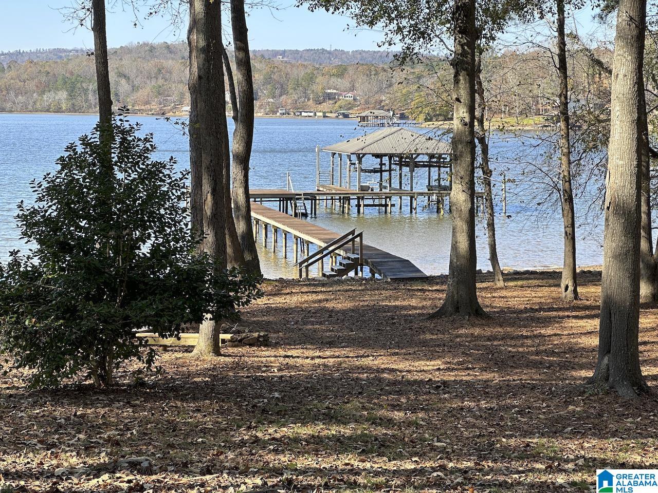 3371 County Road 104 Cedar Bluff, AL 35959 - Photo 71 of 100