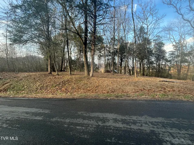 $12,000 | Tbd Hill Station Alley Road, Gate City, VA 24251