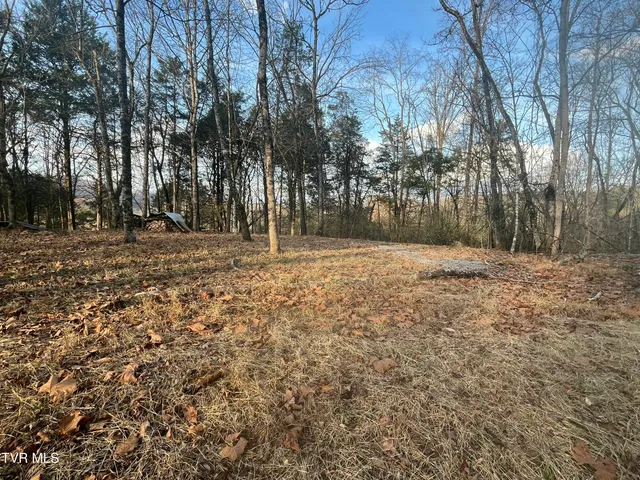 $12,000 | Tbd Hill Station Alley Road, Gate City, VA 24251