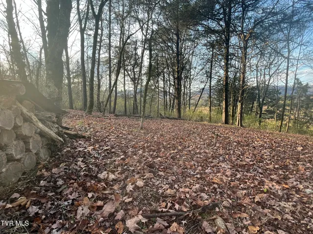 $12,000 | Tbd Hill Station Alley Road, Gate City, VA 24251