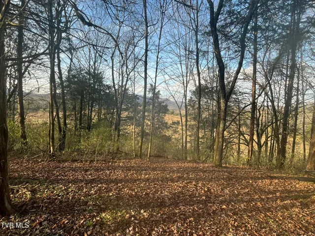 $12,000 | Tbd Hill Station Alley Road, Gate City, VA 24251