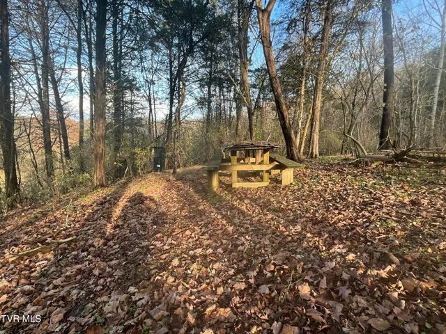 $12,000 | Tbd Hill Station Alley Road, Gate City, VA 24251